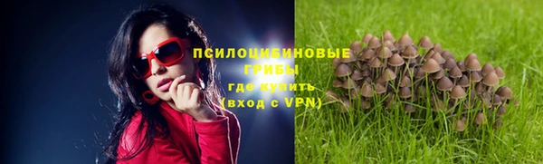 каннабис Вяземский