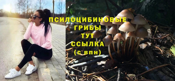 a pvp Вязники